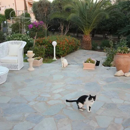 Imagine Renting Your Own 5 Star Protaras 32 Ayia Napa